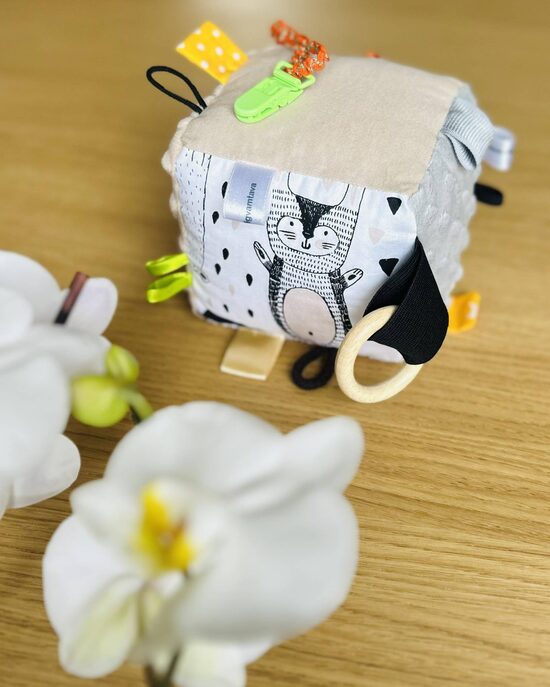 Attīstošais sensora kubs “Skandi noskaņa”